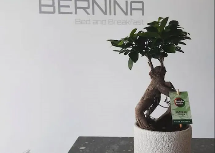 Bernina فندق
