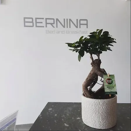 Bernina 酒店