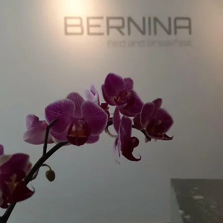 酒店 Bernina 达沃斯